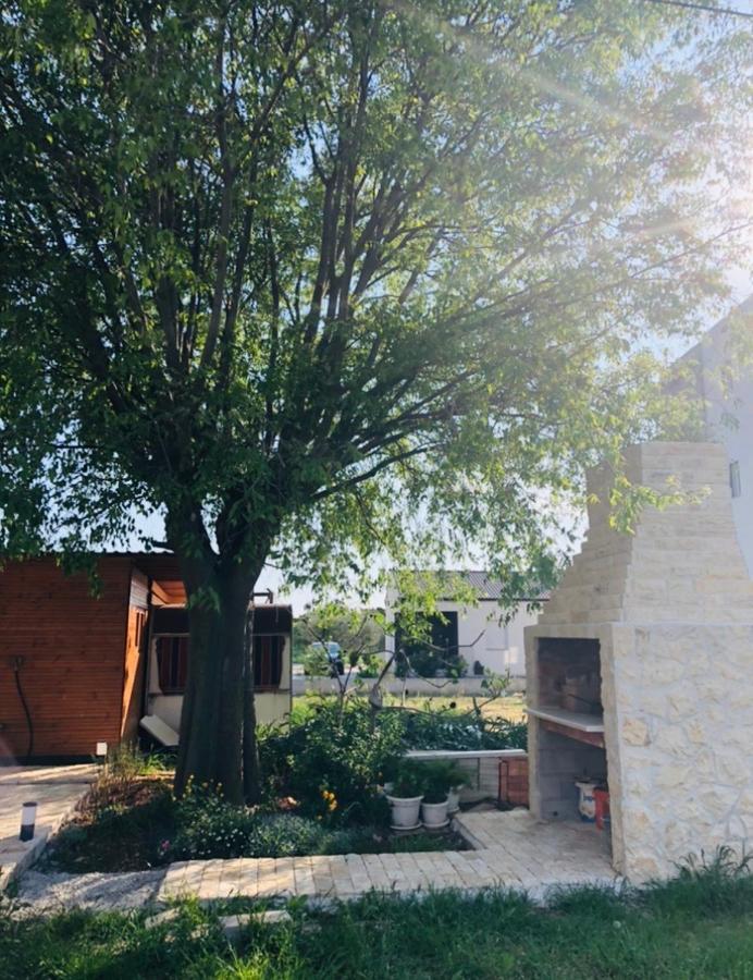 Apartmani Veronika Sukosan Ngoại thất bức ảnh
